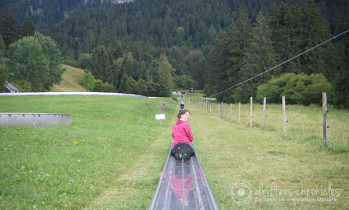 Up the alpine slide
