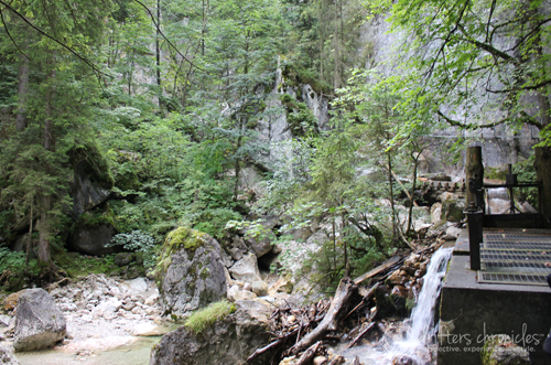 Hiking behind the castle.