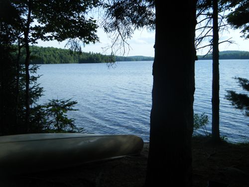 A view of Burnt Island Lake.