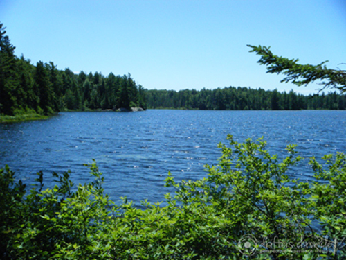Maple Leaf Lake