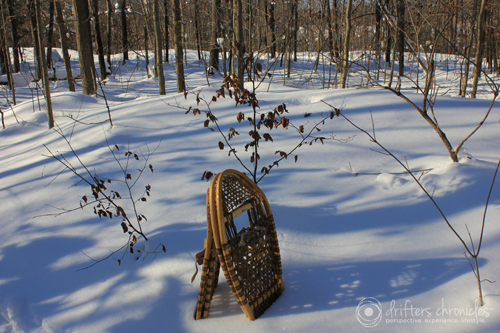 Our snowshoes.