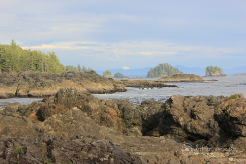 The Coastline on the Wild Pacific Trail