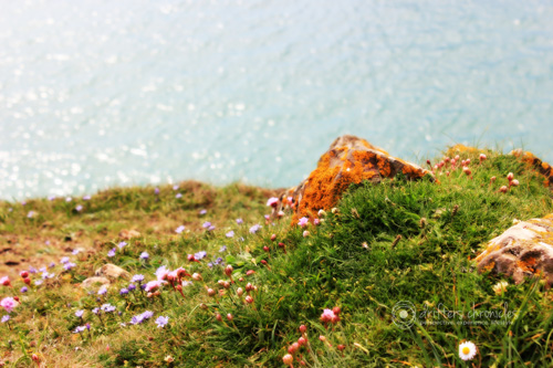 Amazing Colours during Springtime